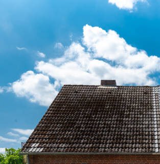 Before Megalodon Cleaning Solution