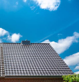 After Megalodon Cleaning Solution